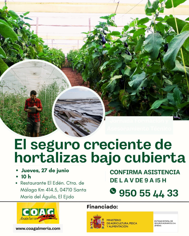 Lee más sobre el artículo COAG Almería celebra la Jornada El seguro creciente de hortalizas Bajo Cubierta
