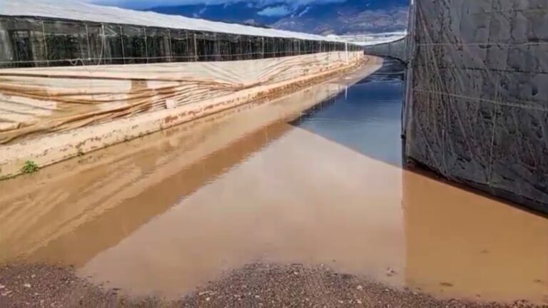 Lee más sobre el artículo COAG Almería recuerda al ministerio de Agricultura las promesas fiscales no cumplidas ante la DANA y otros daños