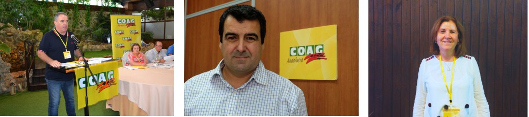 Lee más sobre el artículo Tres miembros de COAG Almería representarán a la provincia a nivel regional en COAG Andalucía