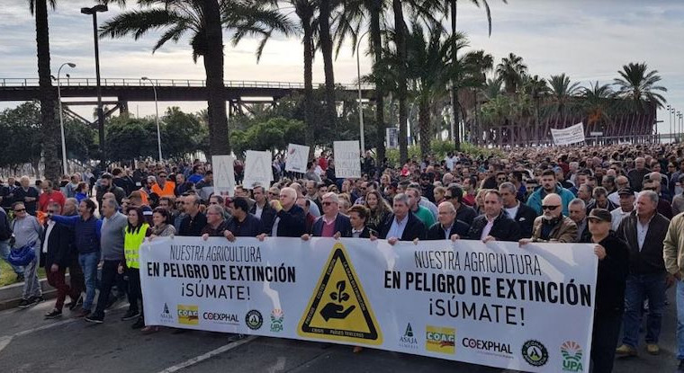 Lee más sobre el artículo ASAJA y COAG, de Almería, se unen a las movilizaciones del 29-E concentrándose ante la Subdelegación del Gobierno